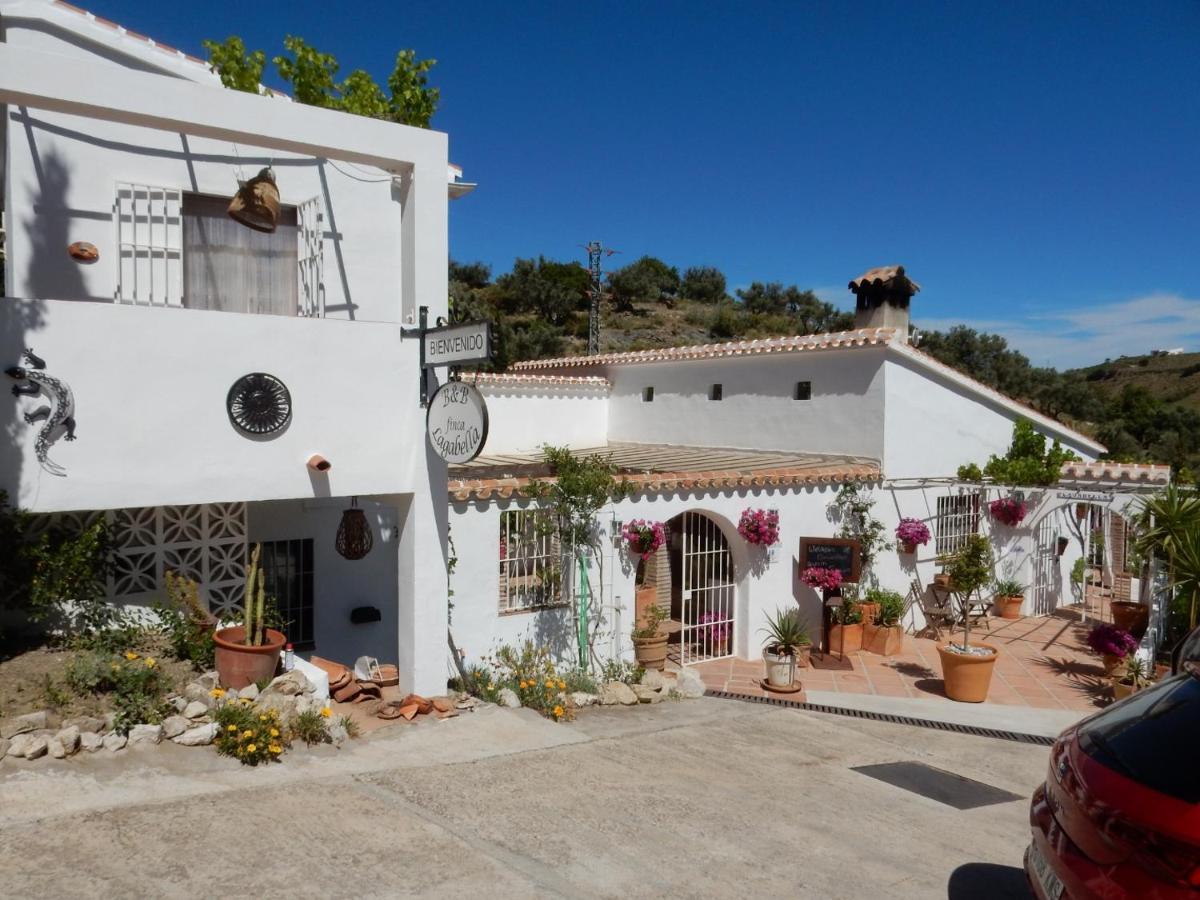 Bed And Breakfast Lagabella Sedella Exterior photo
