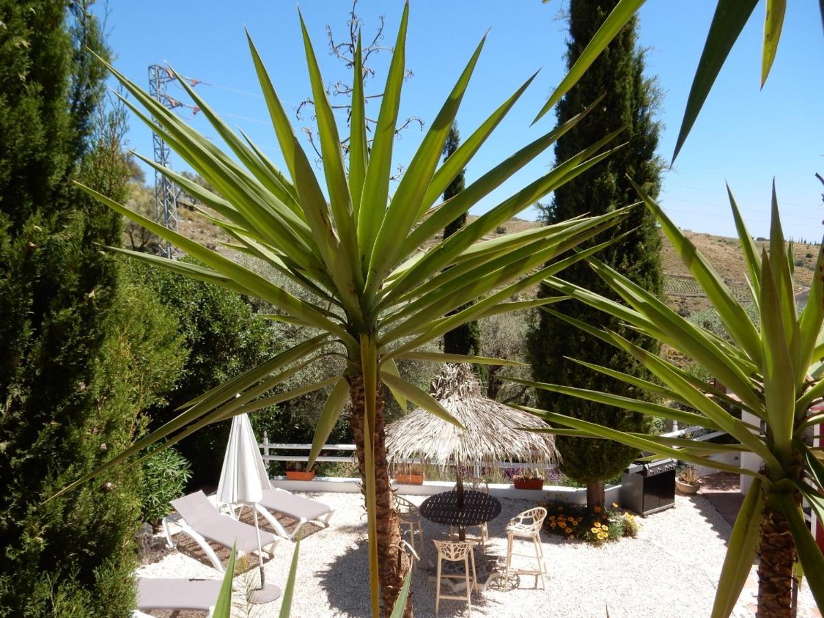 Bed And Breakfast Lagabella Sedella Exterior photo
